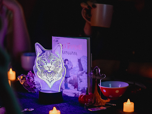 Встречи подросткового книжного клуба «Кто вообще это читает?»